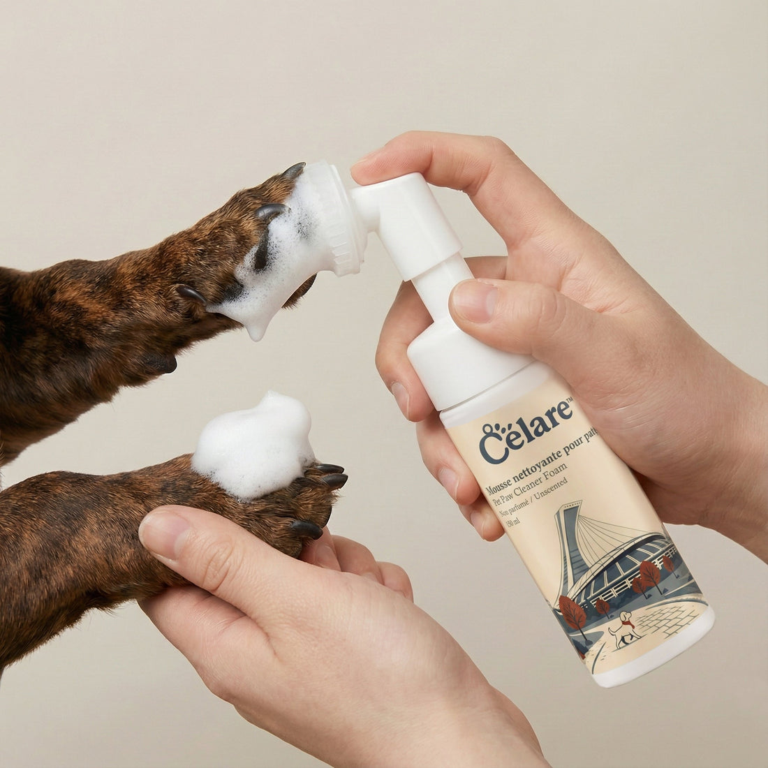 5 signes que le sel de déneigement blesse votre chien (et la routine de 2 minutes pour l'éviter)