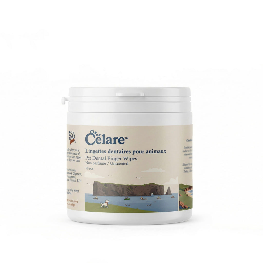 Pet Dental Finger Wipes