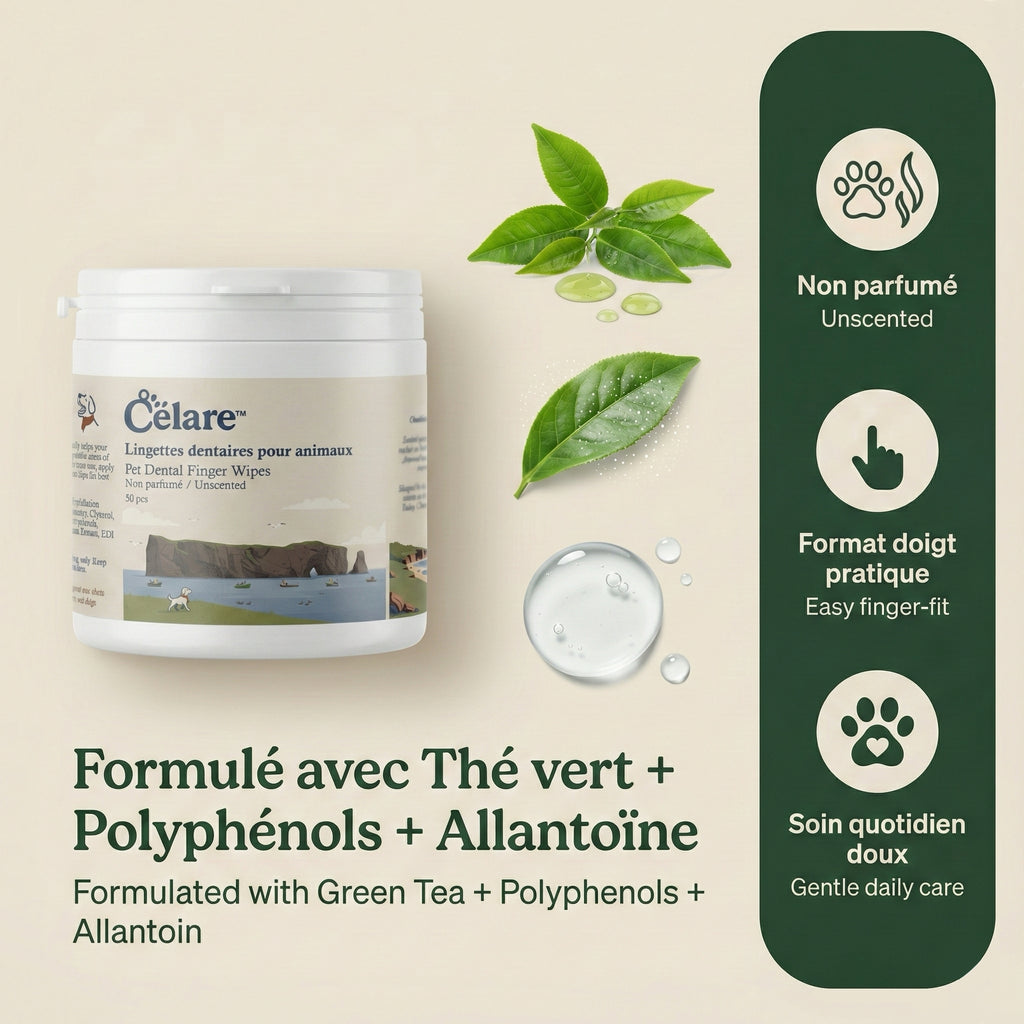 Lingettes dentaires à doigt pour animaux