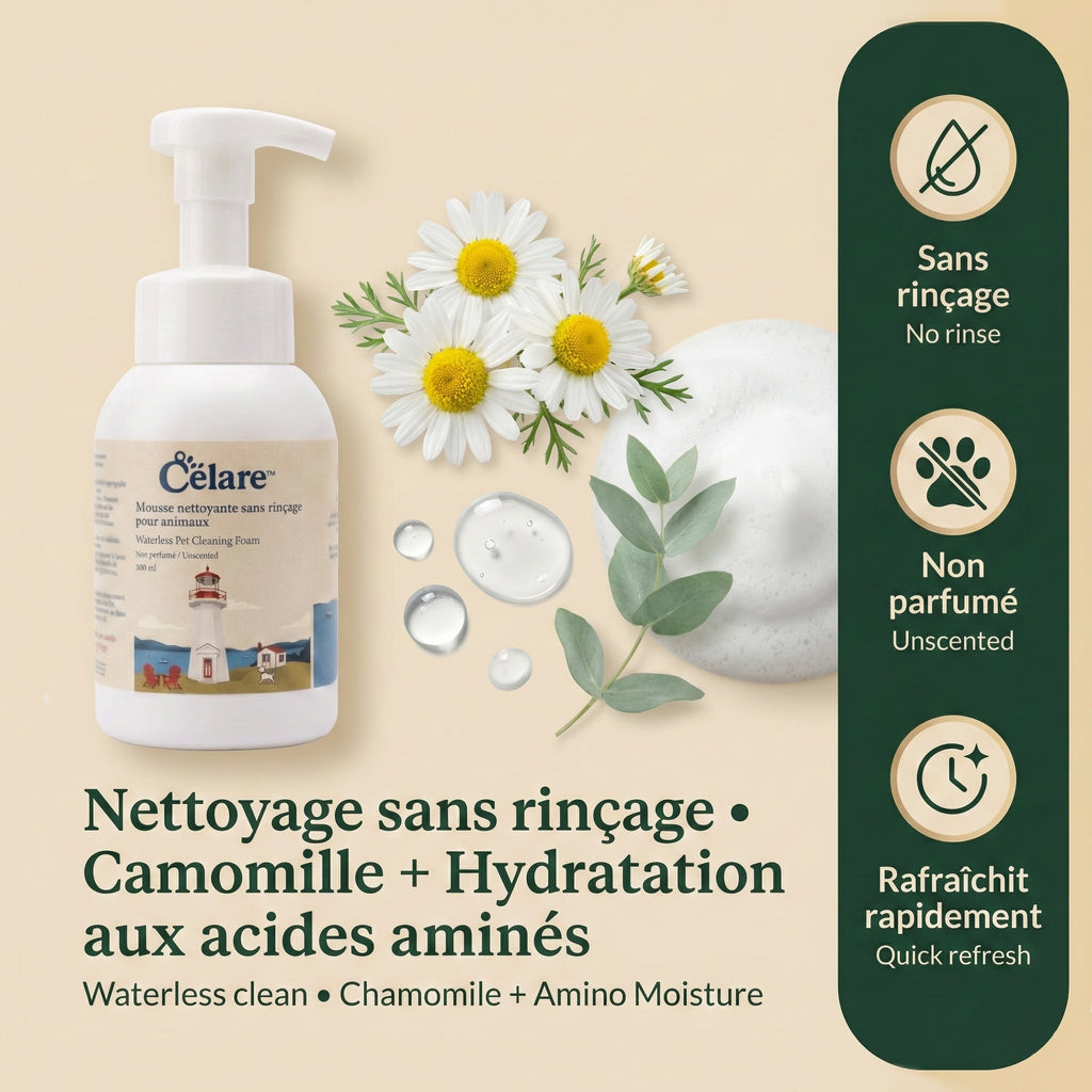 Mousse nettoyante sans rinçage pour animaux