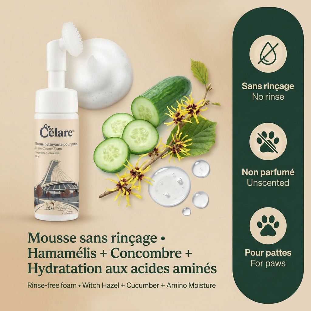 Mousse nettoyante pour les pattes sans rinçage pour animaux
